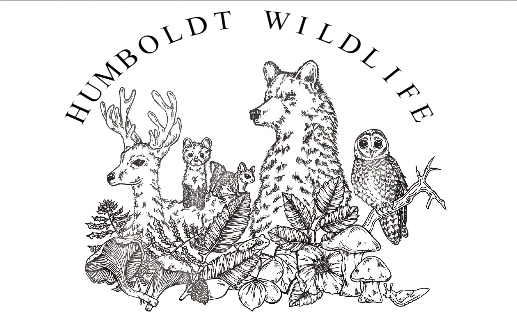 WiGSS Logo with multiple from of wildlife on it